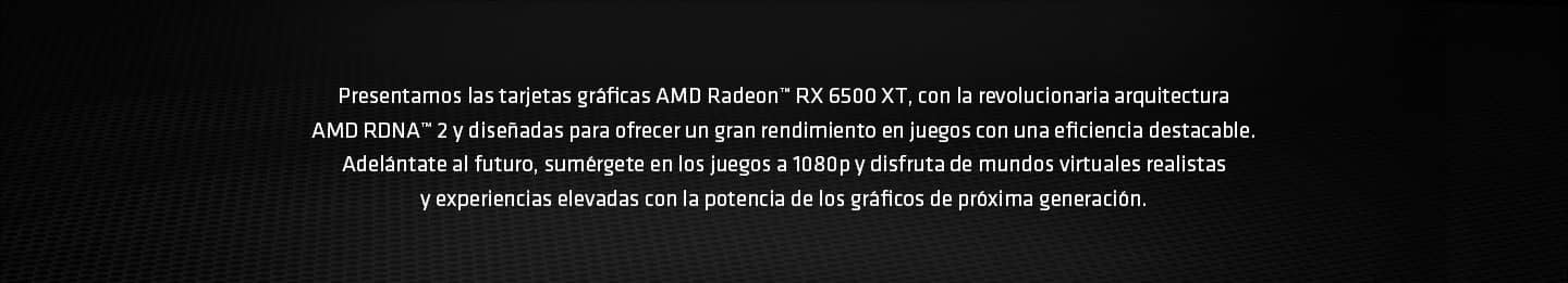 Presentación 6500 XT