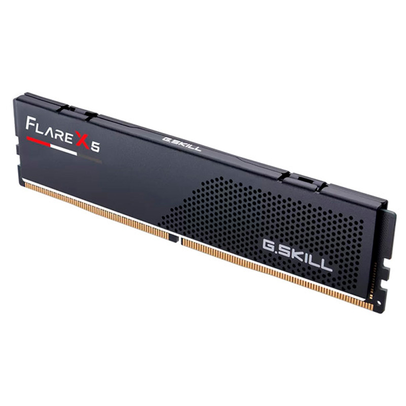 Memoria DDR5 G.SKill Flare X5 8GB 1x8GB 5600MHz CL36 AMD EXPO Negro