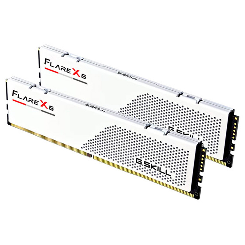 Memoria DDR5 G.SKill Flare X5 32GB 2x16GB 6000MHz CL28 AMD EXPO Negro Blanco
