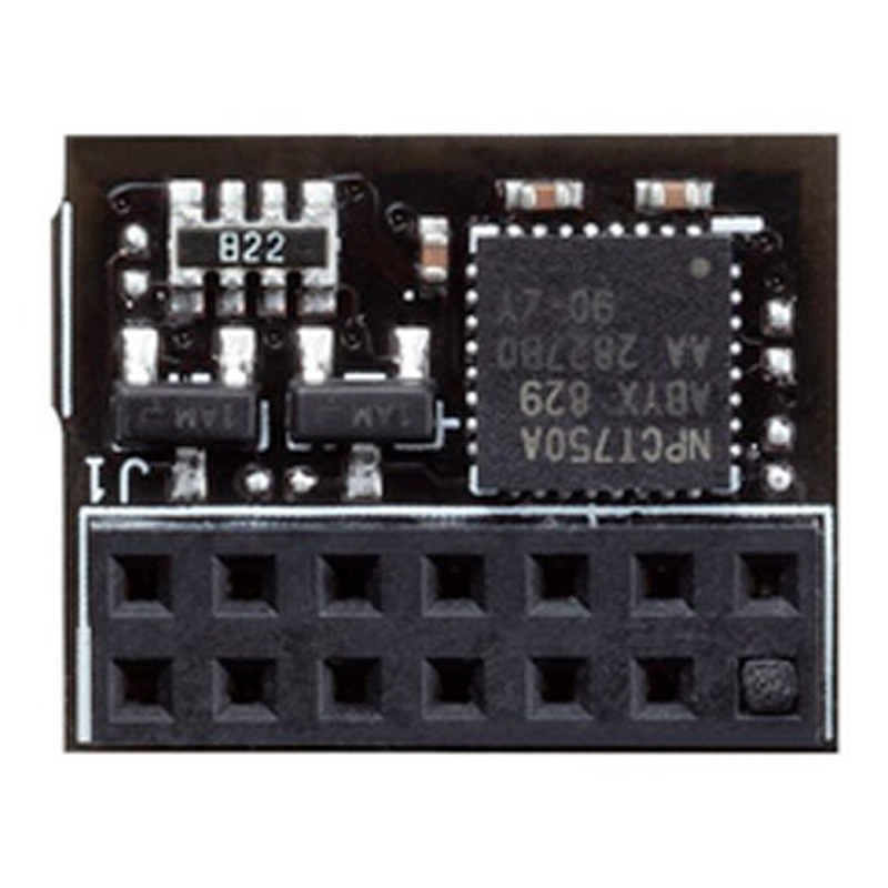 Adaptador Asus TPM-SPI De Interfaz Interno