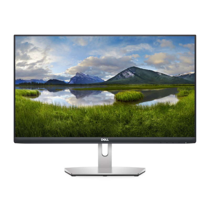 Monitor Dell S2421HN 23.8 pulgadas LED FHD FreeSync