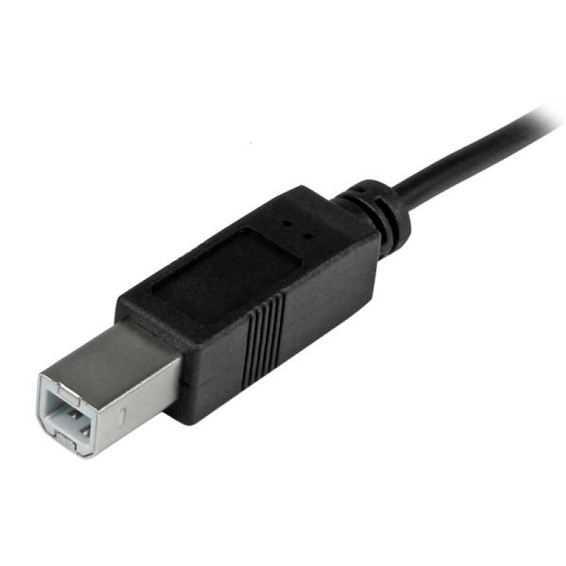 Startech Adaptador USB Type-C a USB-B Negro - Adaptador