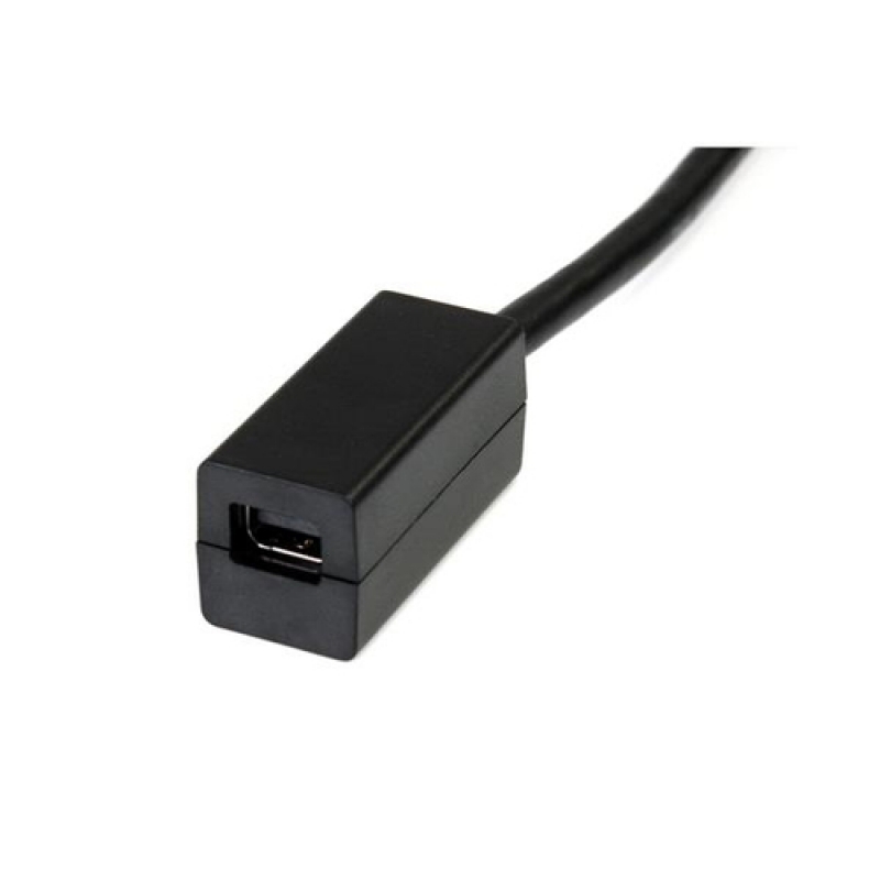 Startech DisplayPort Macho a Mini DisplayPort Hembra 15cm - Cable