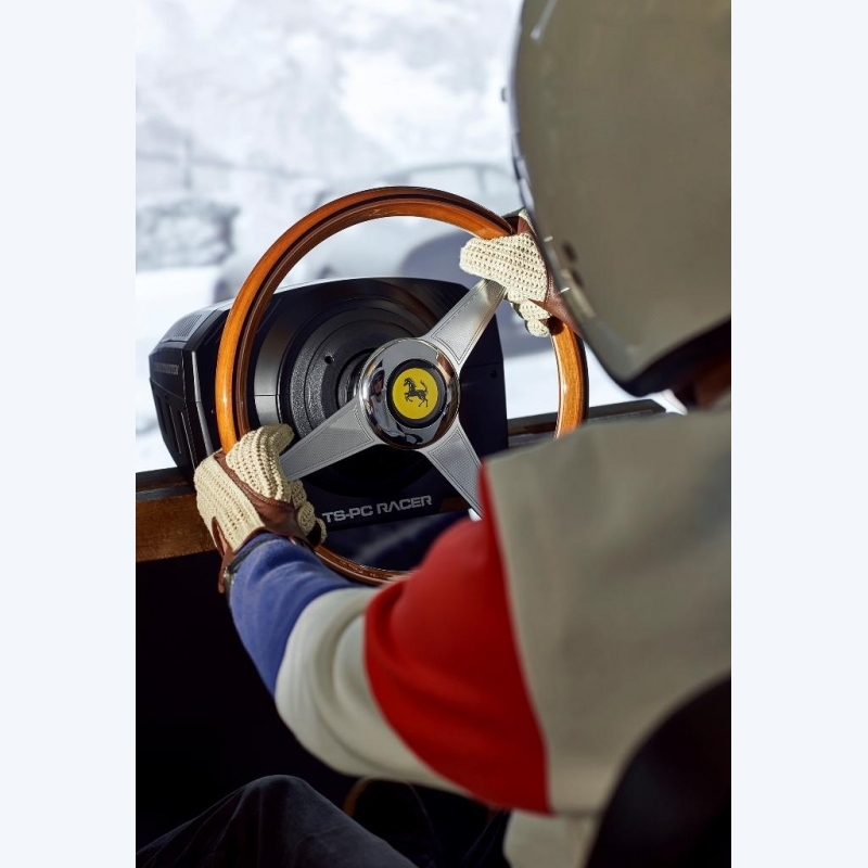 Thrustmaster Ferrari 250 GTO - Volante