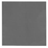 Thermal Grizzly Minus Pad Extreme 2 100 x 100 x 0,5mm