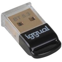 iggual USB 2.0 Mini Bluetooth 5.3