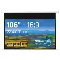 iggual PSIMS234 Manual 106 pulgadas 234x131cm