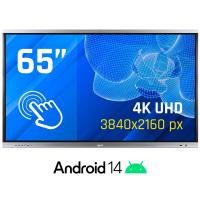 iggual ORCHID Interactiva 4K 65 pulgadas