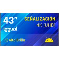 iggual IGG321157 De Señalización 43 pulgadas 4K UHD 4GB 64GB Wi-Fi Android 14