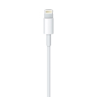 Apple Cable Lightning a USB 50cm - Cable USB