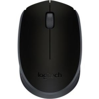 Logitech M171 1000dpi USB 2.0 Negro