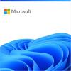 Software Microsoft Windows 11 IoT Enterprise LTSC 2024
